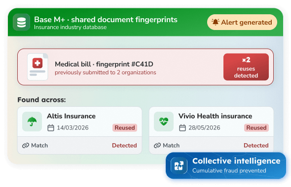 insurance-fraud-base-mplus-desktop-light