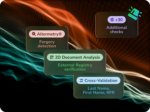 payslip-Document Fraud-desktop-en (1)