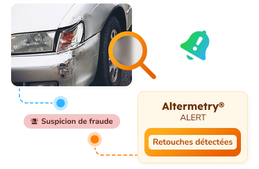 gestion-sinistres-verification-light